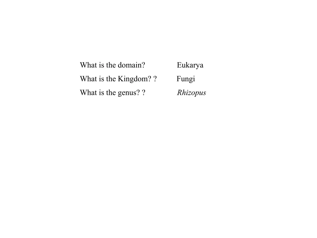 what is the domain eukarya 2