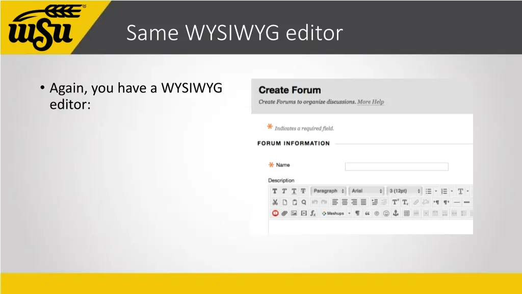 same wysiwyg editor