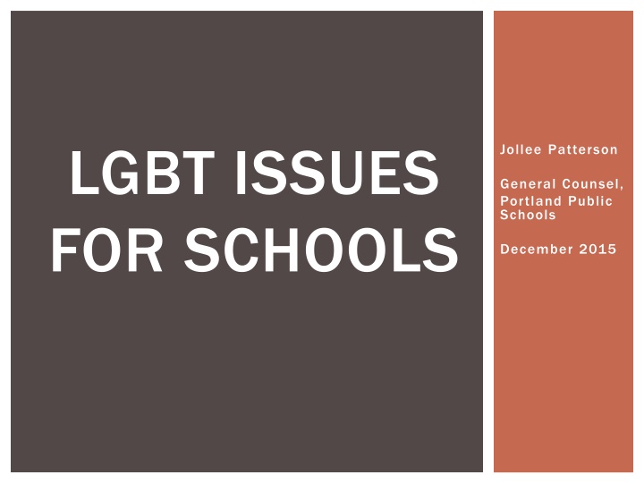 lgbt issues for schools