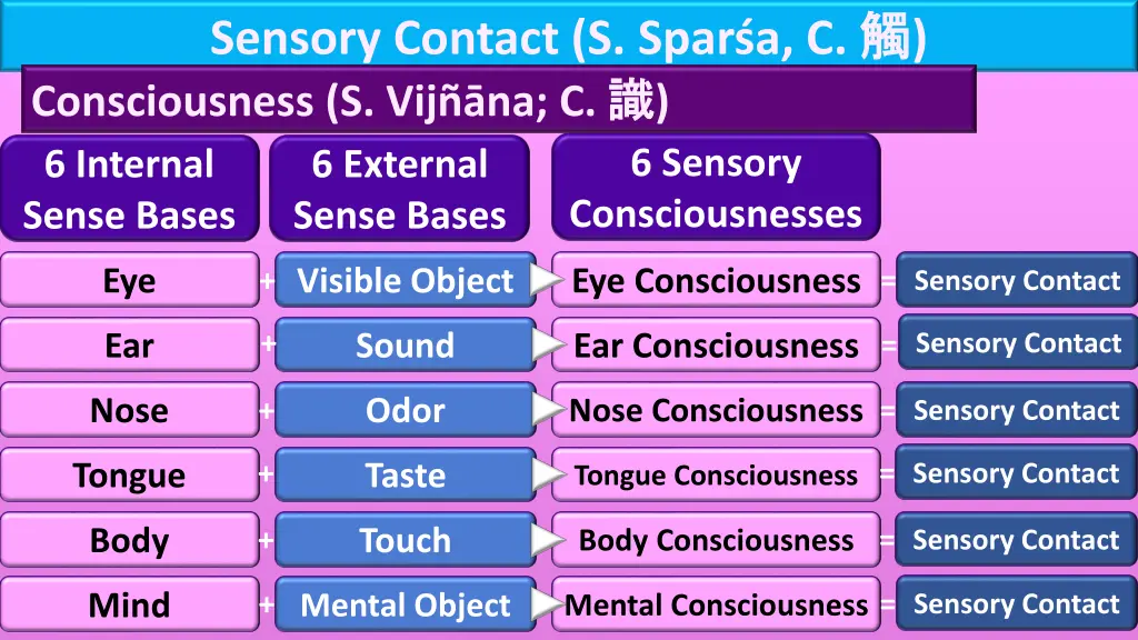 sensory contact s spar a c consciousness