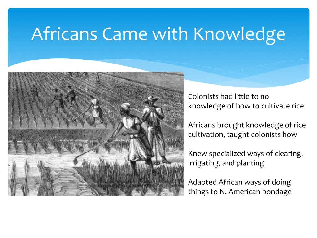 africans came with knowledge