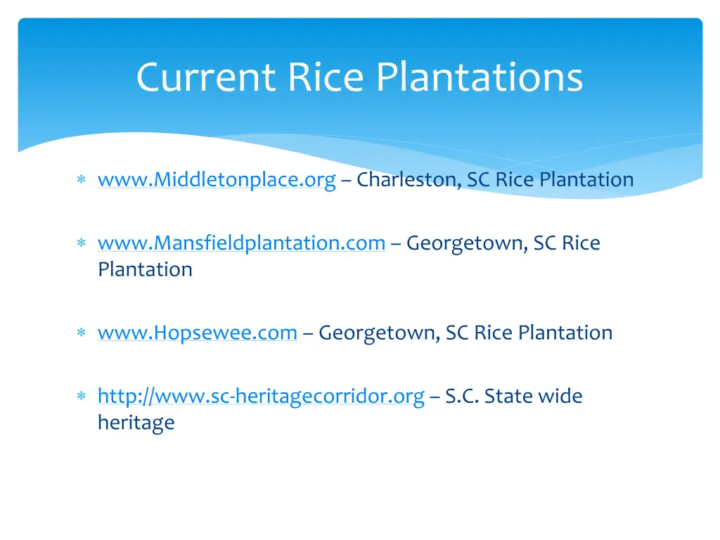 current rice plantations