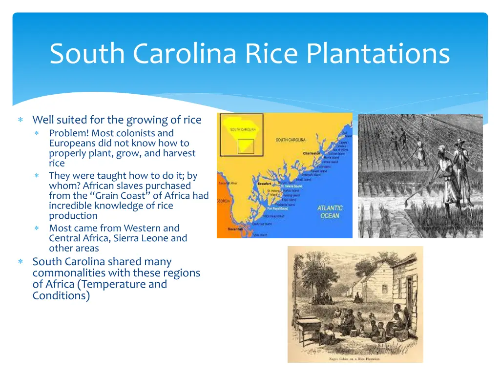 south carolina rice plantations