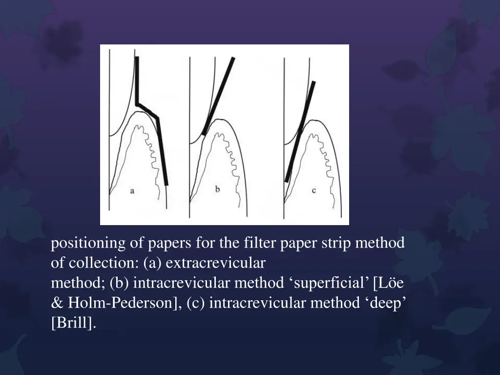 positioning of papers for the filter paper strip