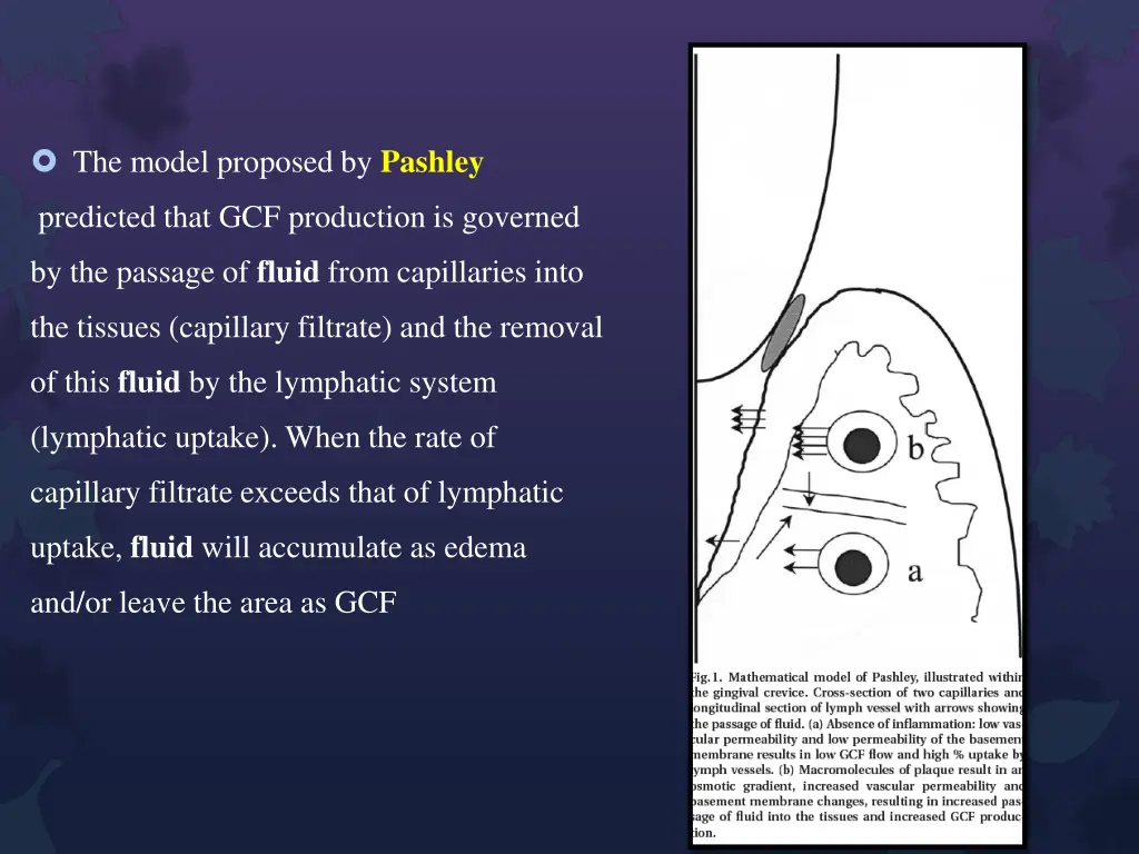 the model proposed by pashley