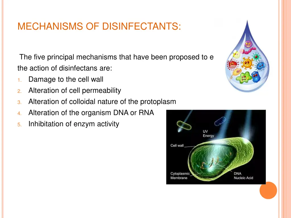 mechanisms of disinfectants