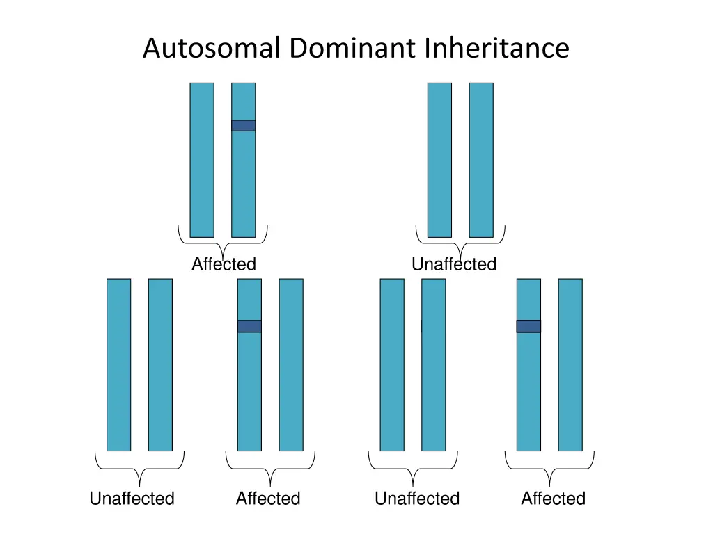 autosomal dominant inheritance