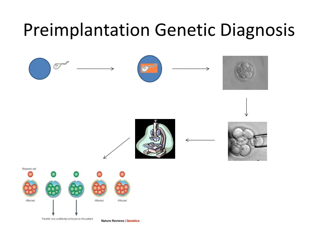 preimplantation genetic diagnosis