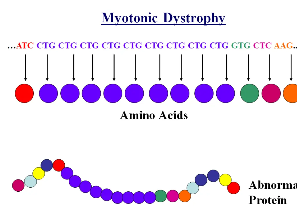 slide6