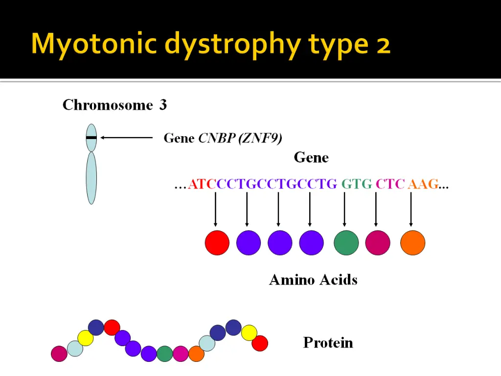 slide9