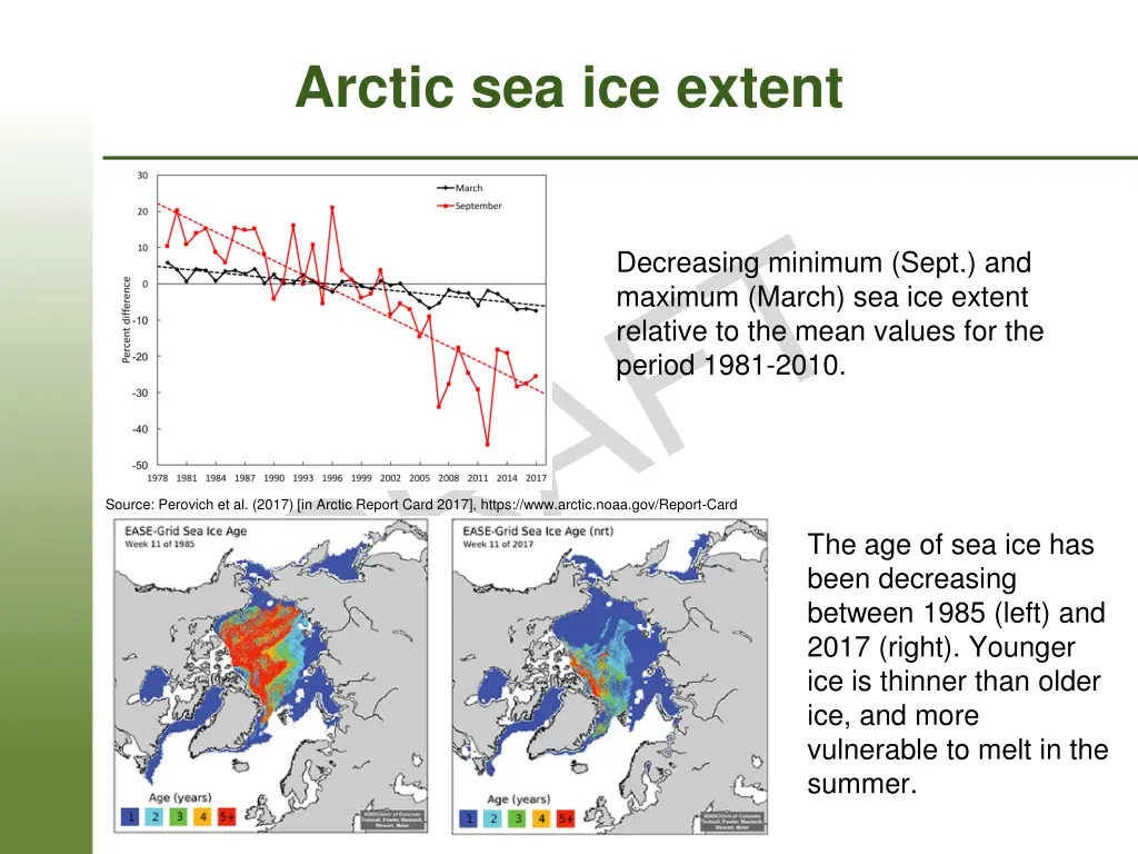 arctic sea ice extent