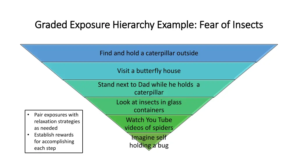 graded exposure hierarchy example fear of insects