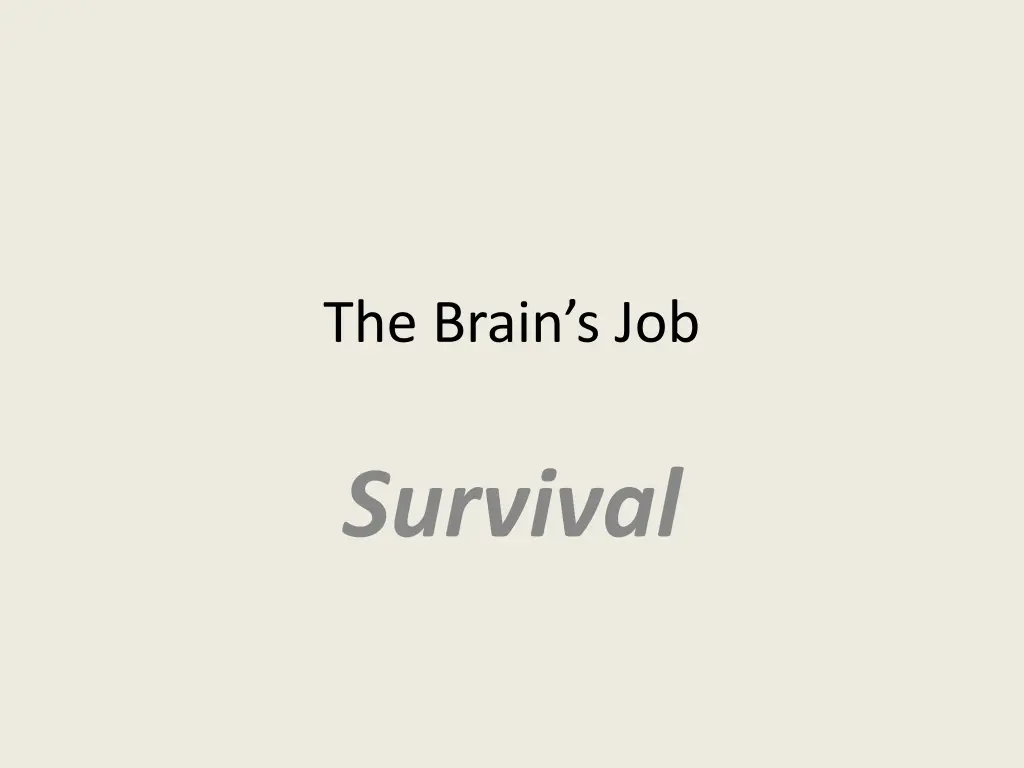 the brain s job