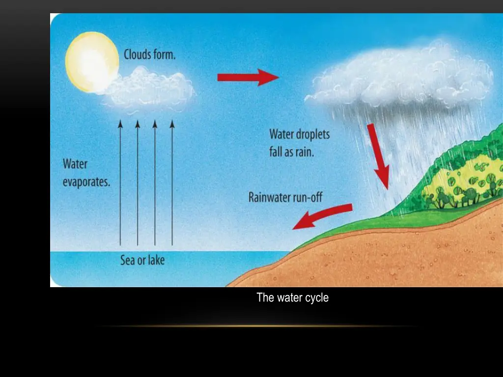 the water cycle 1