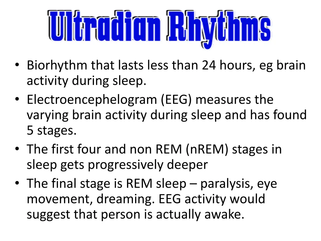 biorhythm that lasts less than 24 hours eg brain