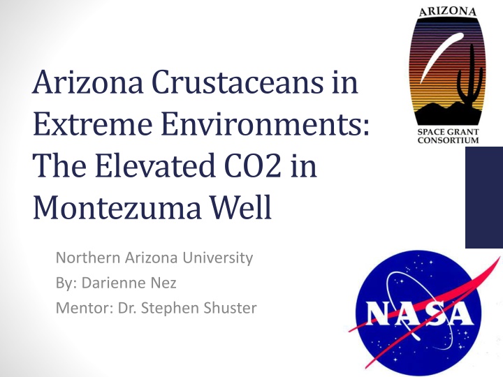 arizona crustaceans in extreme environments