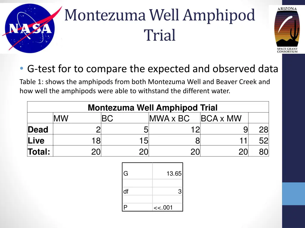 montezuma well amphipod trial