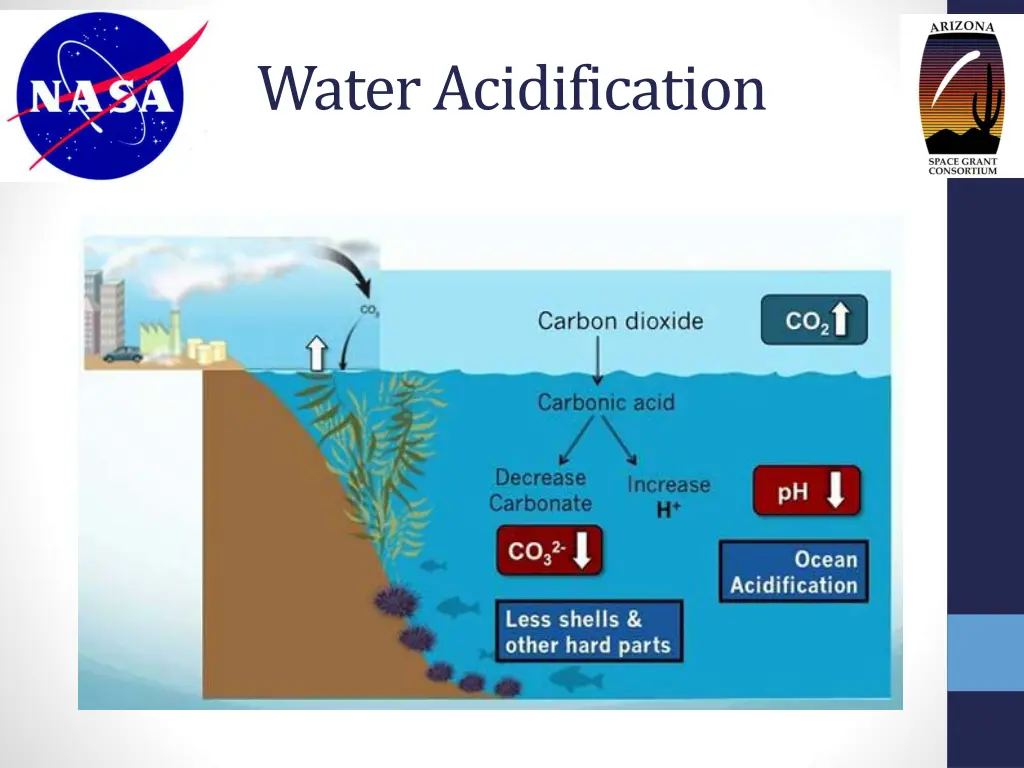 water acidification