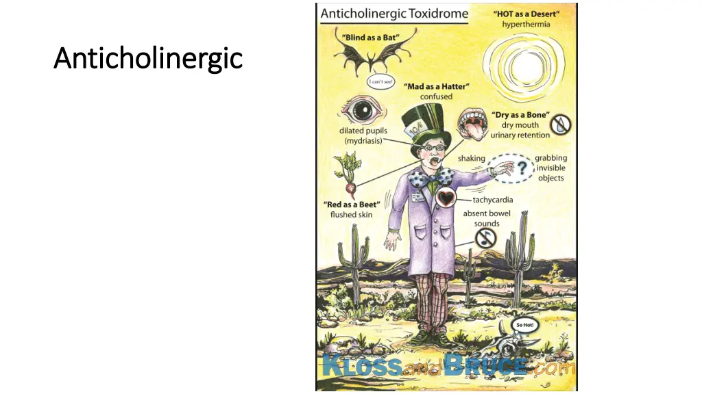 anticholinergic anticholinergic 1