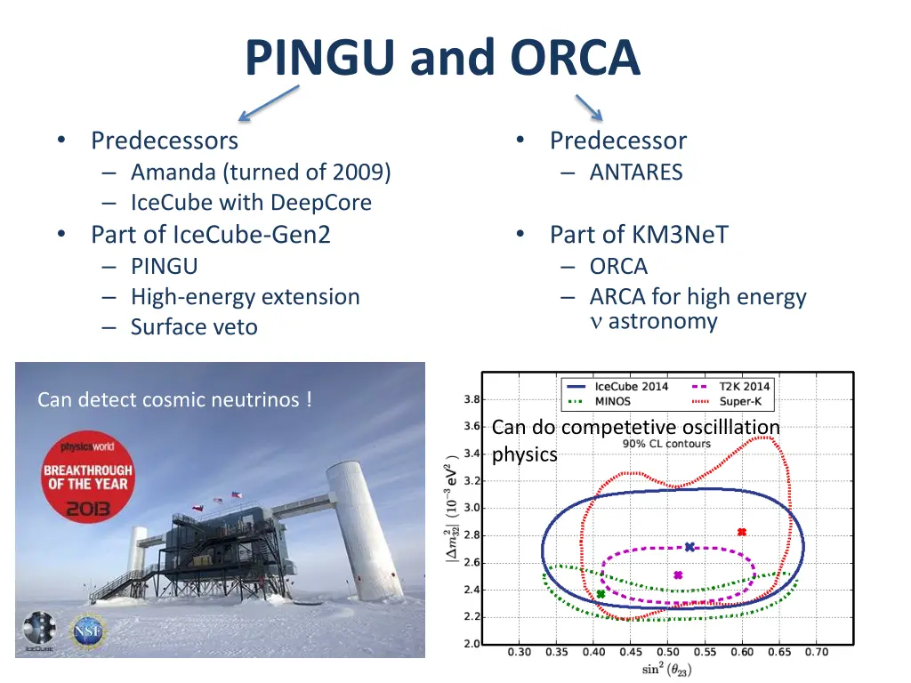 pingu and orca