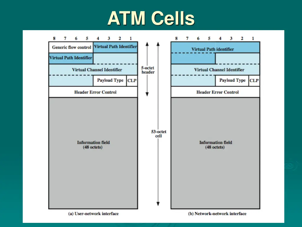 atm cells