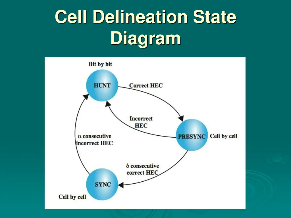 cell delineation state diagram