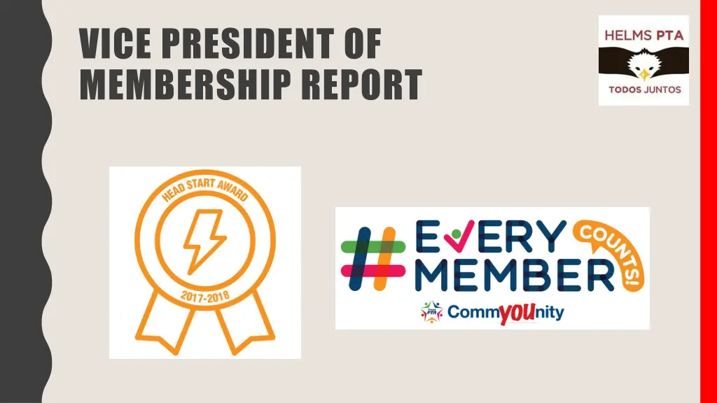 vice president of membership report