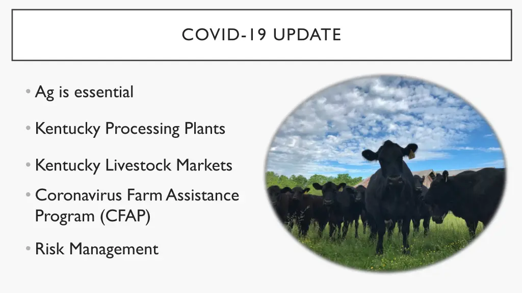 covid 19 update