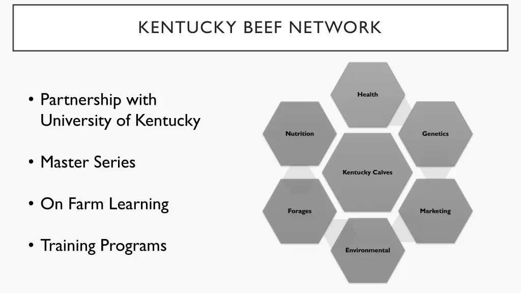 kentucky beef network