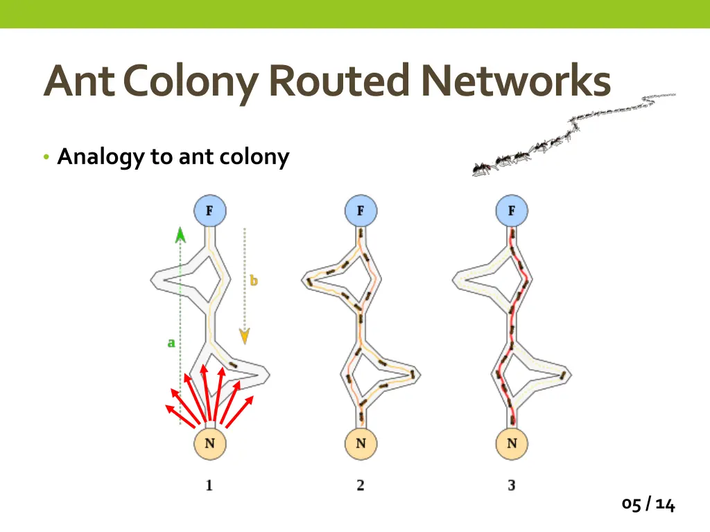 ant colony routed networks