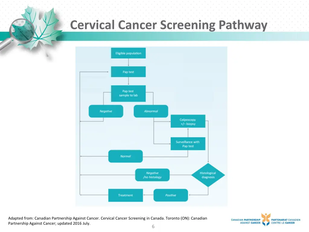 cervical cancer screening pathway