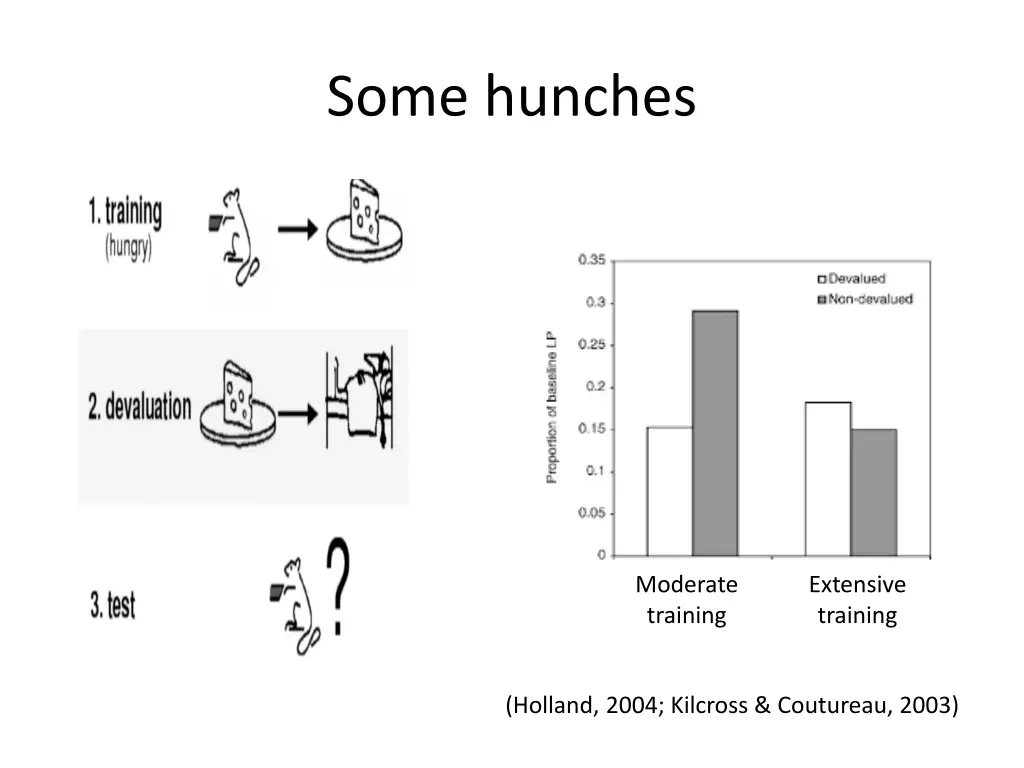 some hunches