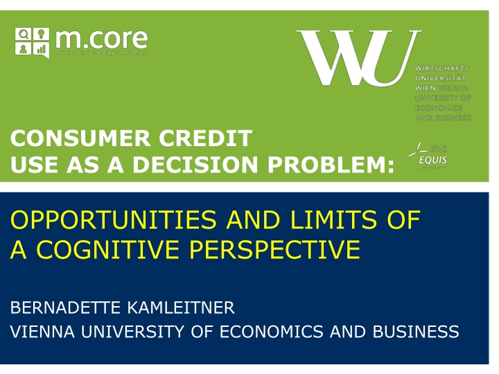 consumer credit use as a decision problem