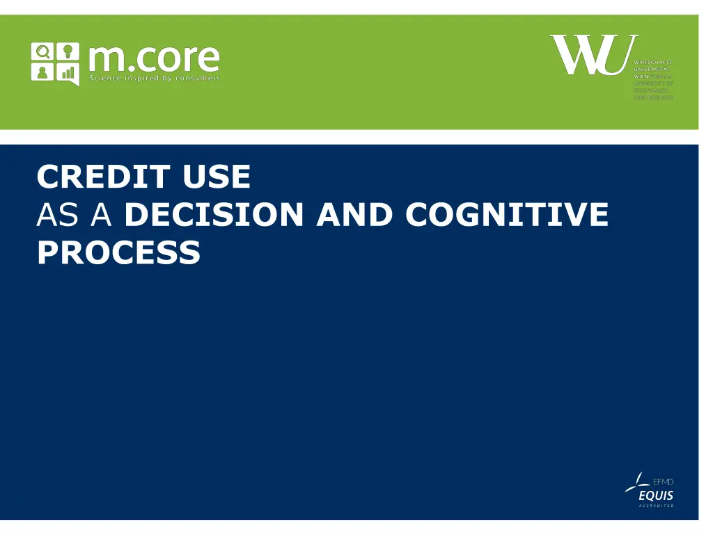 credit use as a decision and cognitive process