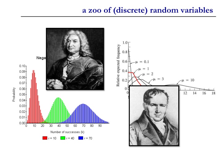 a zoo of discrete random variables