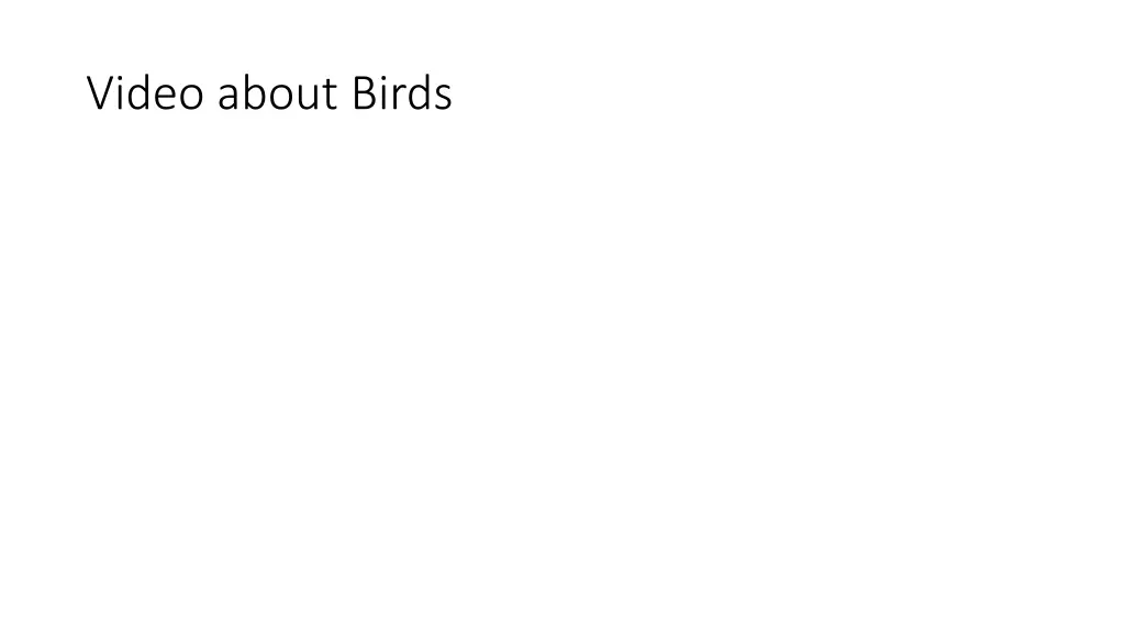 video about birds