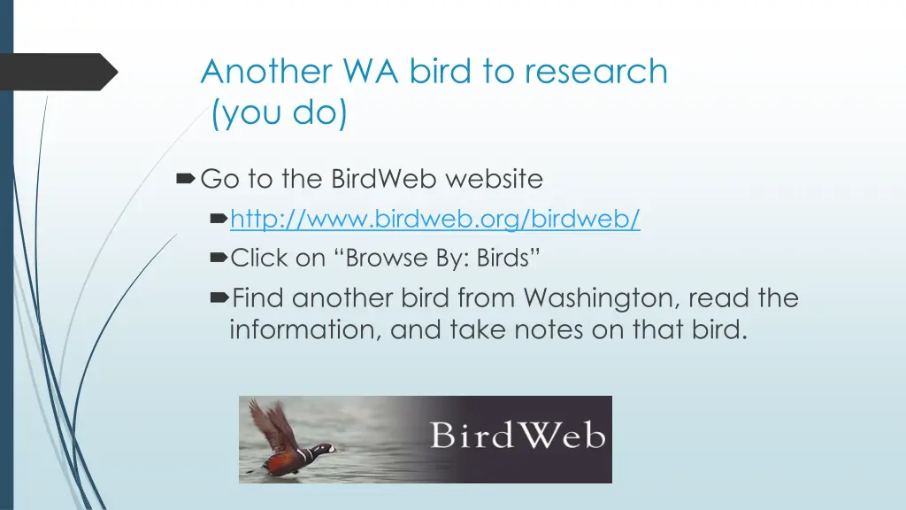 another wa bird to research you do