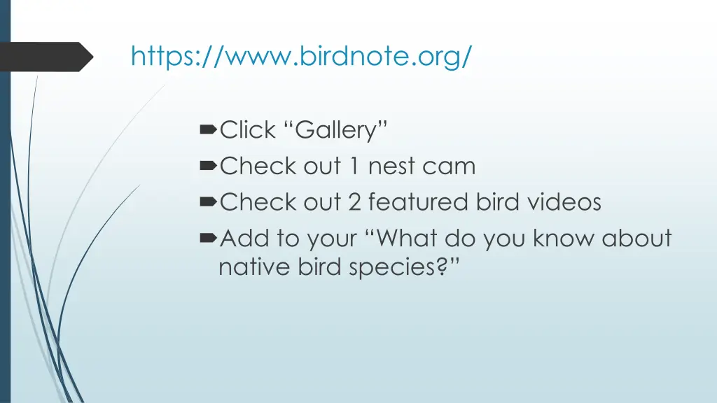 https www birdnote org