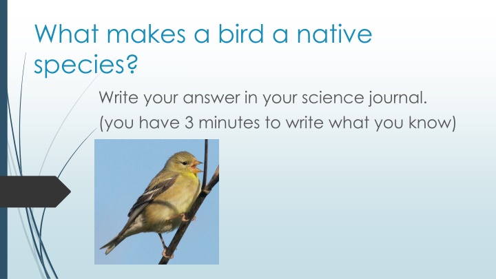 what makes a bird a native species write your