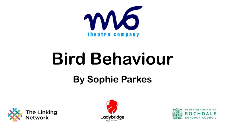 bird behaviour