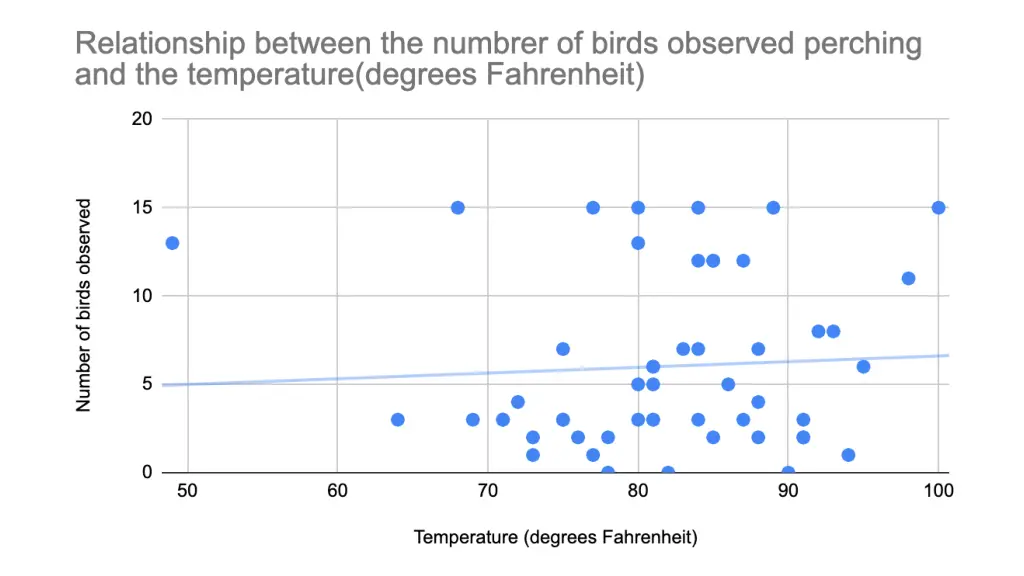 slide11