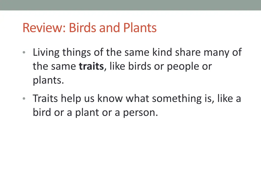 review birds and plants 1