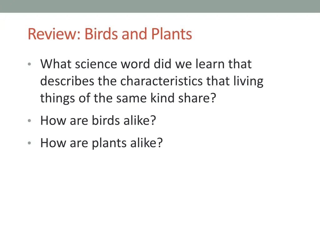 review birds and plants