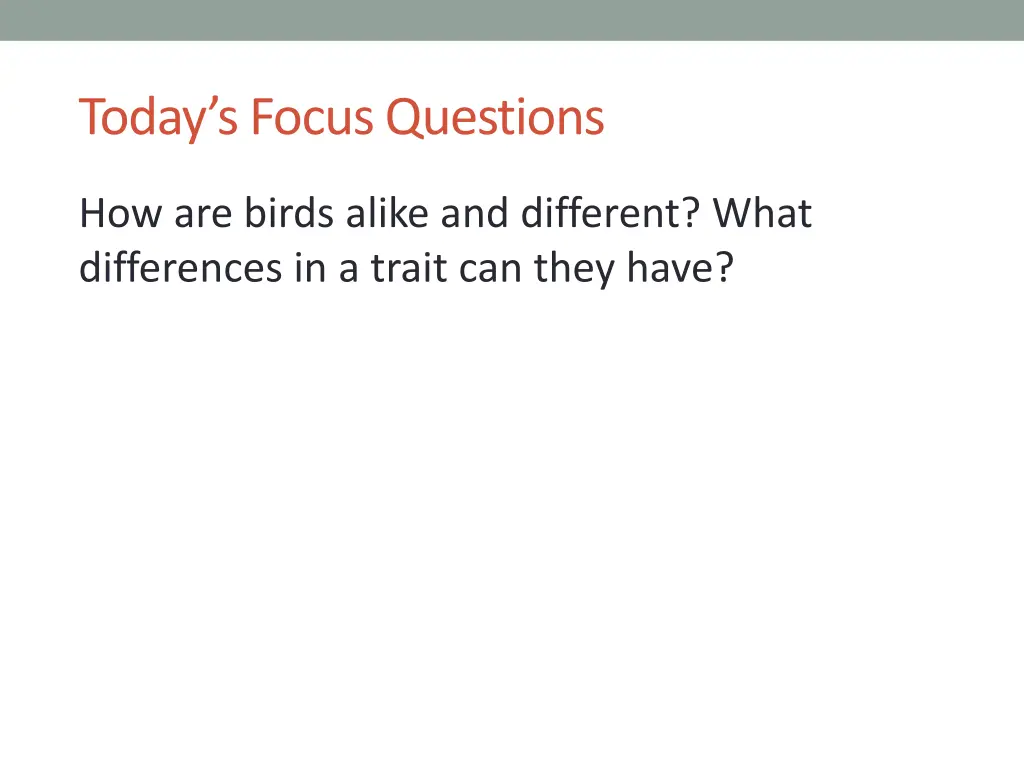 today s focus questions