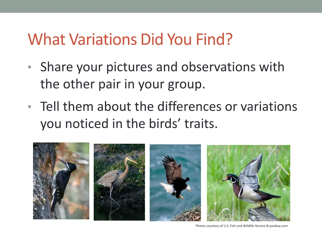 what variations did you find