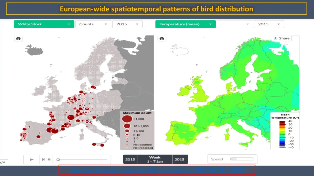 european wide spatiotemporal patterns of bird