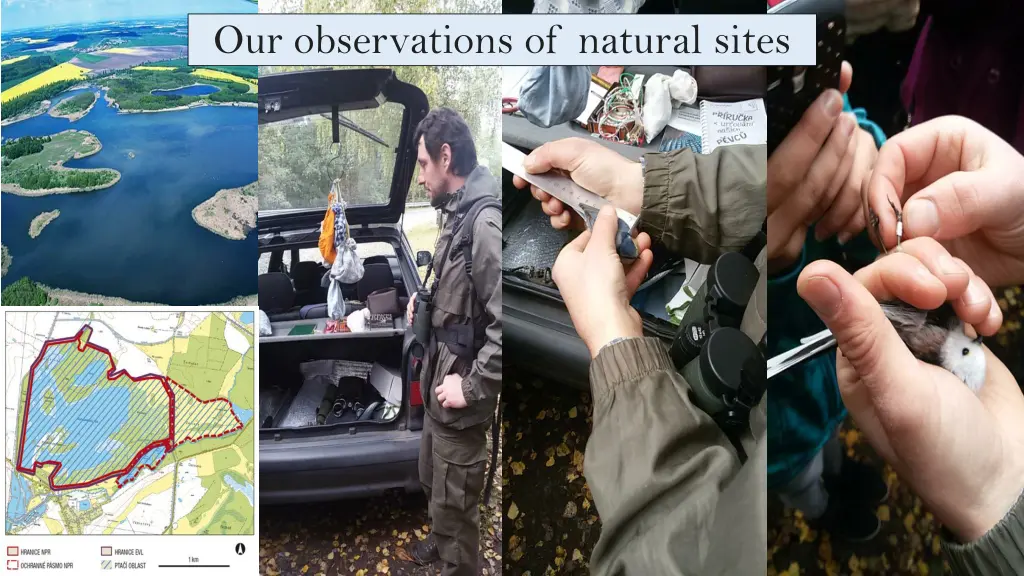 our observations of natural sites