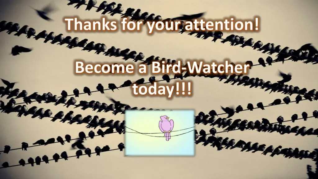 thanks for your attention