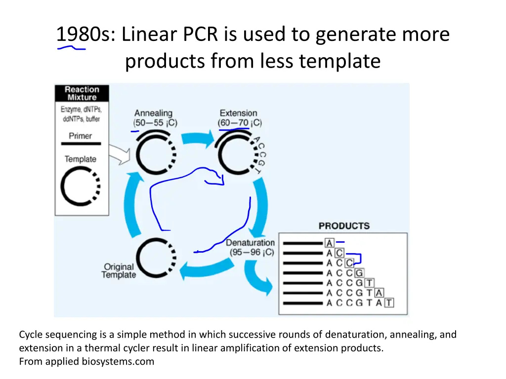 1980s linear pcr is used to generate more