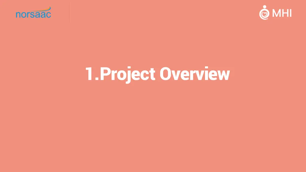 1 project overview